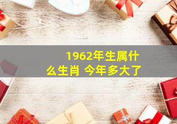 1962年生属什么生肖 今年多大了